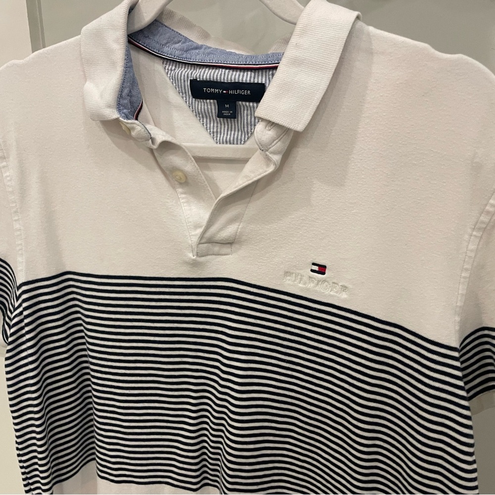 Tommy Polo - Medium - Picture 2 of 3
